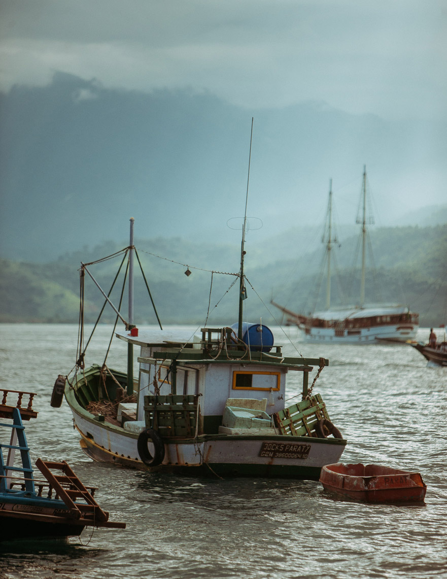 onken_20090301Paraty_145
